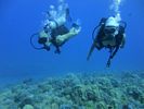 Hawaii Scuba divng 20