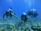 Hawaii Scuba divng 21