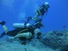 Hawaii Scuba divng 23