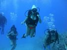 Hawaii Scuba divng 26