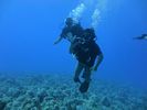 Hawaii Scuba divng 28