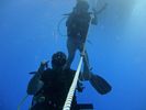 Hawaii Scuba divng 35