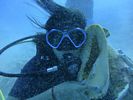 Hawaii Scuba divng 39