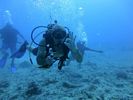 Hawaii Scuba divng 42