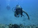 Hawaii Scuba divng 48