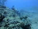 Hawaii Scuba divng 49