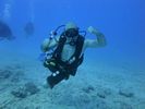 Hawaii Scuba divng 54