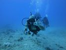 Hawaii Scuba divng 57