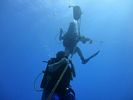 Hawaii Scuba divng 05