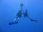 Hawaii Scuba divng 10