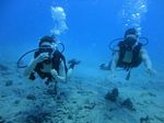 Hawaii Scuba divng 13