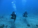 Hawaii Scuba divng 15