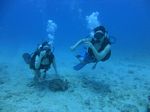 Hawaii Scuba divng 16