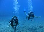 Hawaii Scuba divng 20