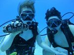 Hawaii Scuba divng 21