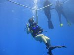 Hawaii Scuba divng 27