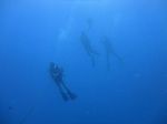 Hawaii Scuba divng 28