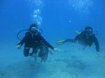 Hawaii Scuba divng 31