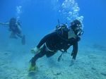 Hawaii Scuba divng 34