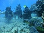 Hawaii Scuba divng 38