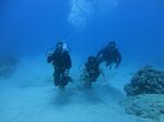 Hawaii Scuba divng 45