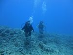 Hawaii Scuba divng 46