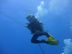 Hawaii Scuba divng 56