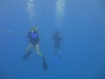 Hawaii Scuba divng 11