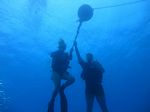 Hawaii Scuba divng 14