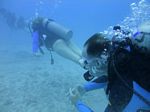 Hawaii Scuba divng 18