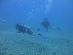 Hawaii Scuba divng 20