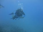 Hawaii Scuba divng 21