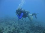 Hawaii Scuba divng 22