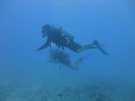 Hawaii Scuba divng 26