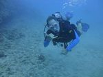 Hawaii Scuba divng 30