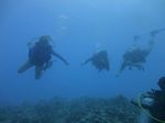 Hawaii Scuba divng 31