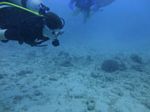 Hawaii Scuba divng 32
