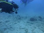 Hawaii Scuba divng 32