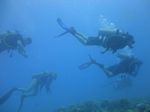 Hawaii Scuba divng 33