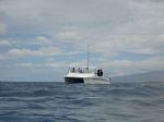 Hawaii Scuba divng 37