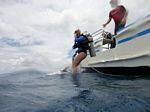 Hawaii Scuba divng 42