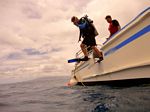 Hawaii Scuba divng 43