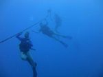 Hawaii Scuba divng 47