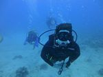 Hawaii Scuba divng 51