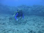 Hawaii Scuba divng 56