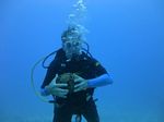 Hawaii Scuba divng 60