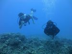 Hawaii Scuba divng 62