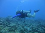 Hawaii Scuba divng 63