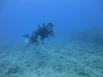 Hawaii Scuba divng 69