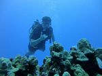 Hawaii Scuba divng 72